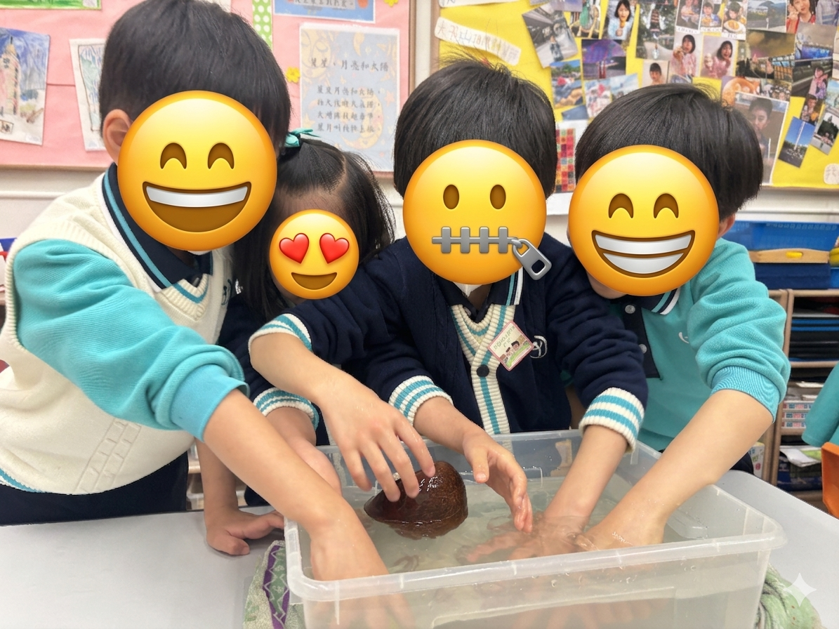 種子傳播專題